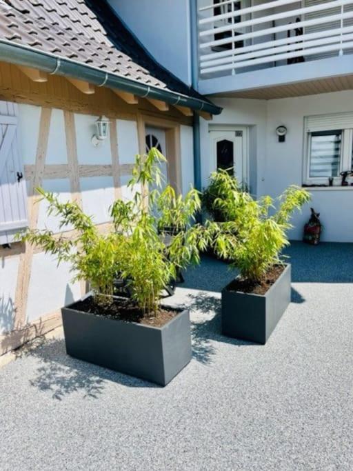 S'Hiesele Petite Maison Alsacienne Typique Ittenheim Exterior foto